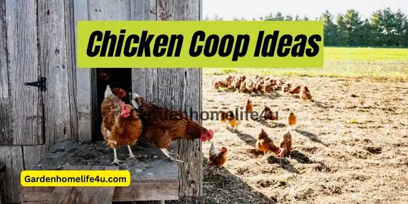 Garden Tips – Chicken Coop Ideas