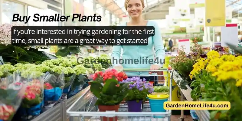 How to Save on Day to Day Garden Maintenance 3
