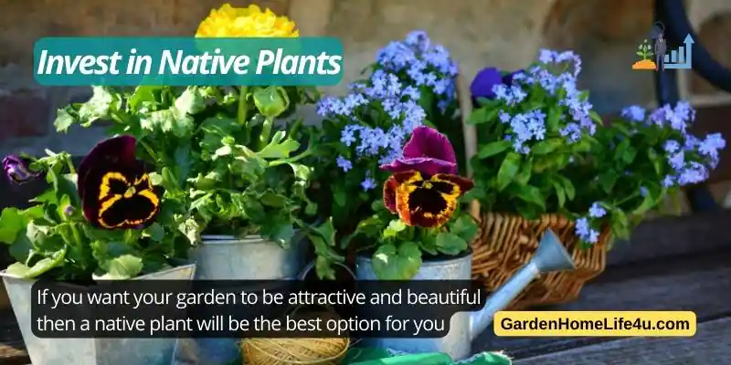 How to Save on Day to Day Garden Maintenance 5