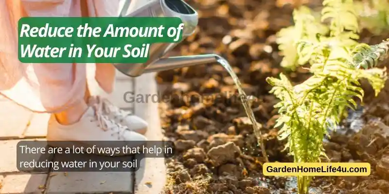 How to Save on Day to Day Garden Maintenance 7