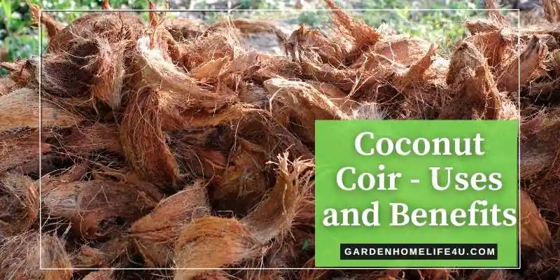Coconut coir benefits for plants and pets