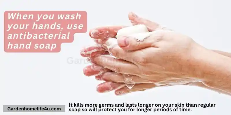 Tips On Meeting Basic Hygiene Standards and Home made Antibacterial 9