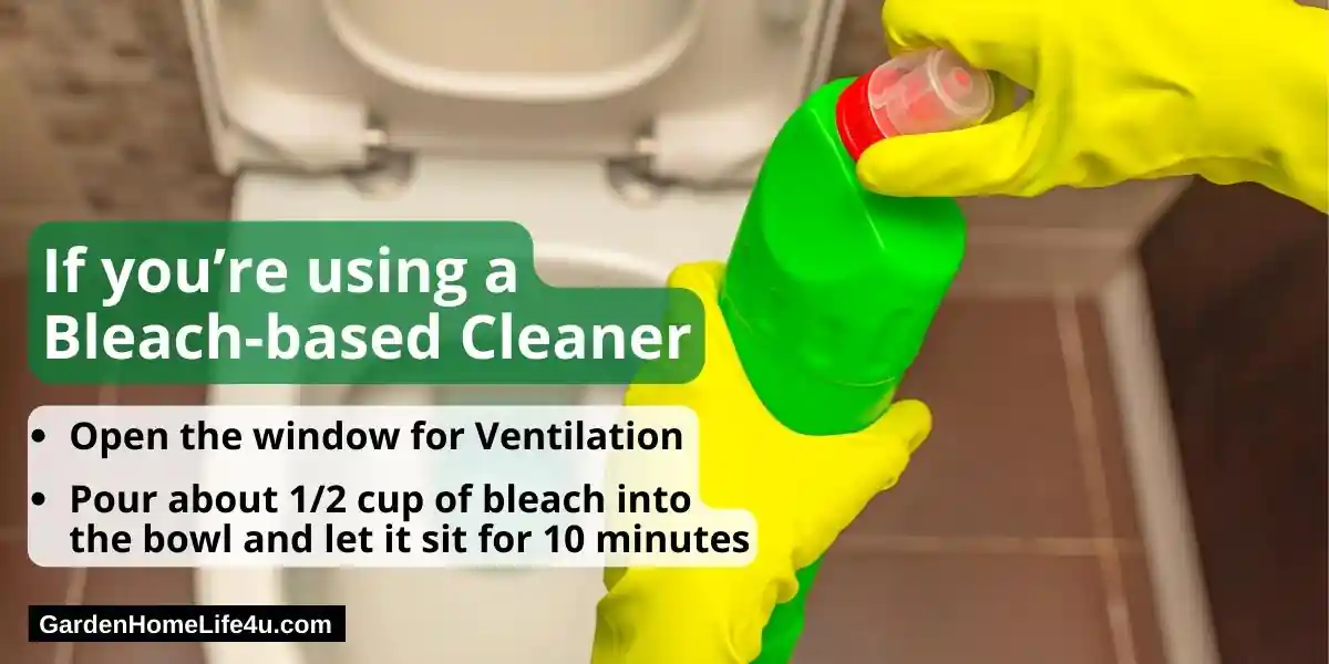How to Clean a Toilet 4
