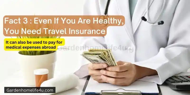 Myths and Facts Regarding Travel Insurance 6